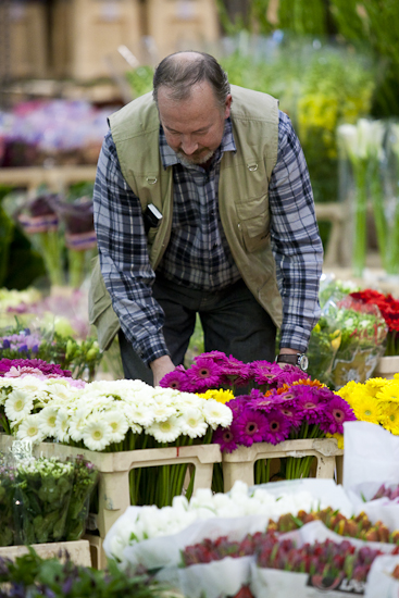 MIN RUNGIS-Fleurs-87.jpg